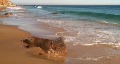 Quiet Walk To The Beach