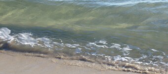 Rolig gange til stranden