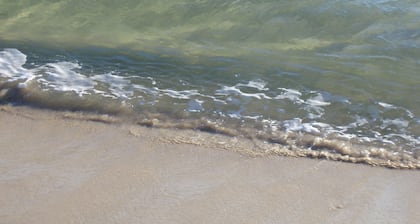 Quiet Walk To The Beach