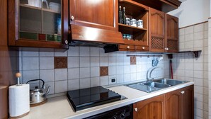 Una cocina con armarios de madera, una placa de inducción negra, un lavavajillas y un fregadero de acero inoxidable.