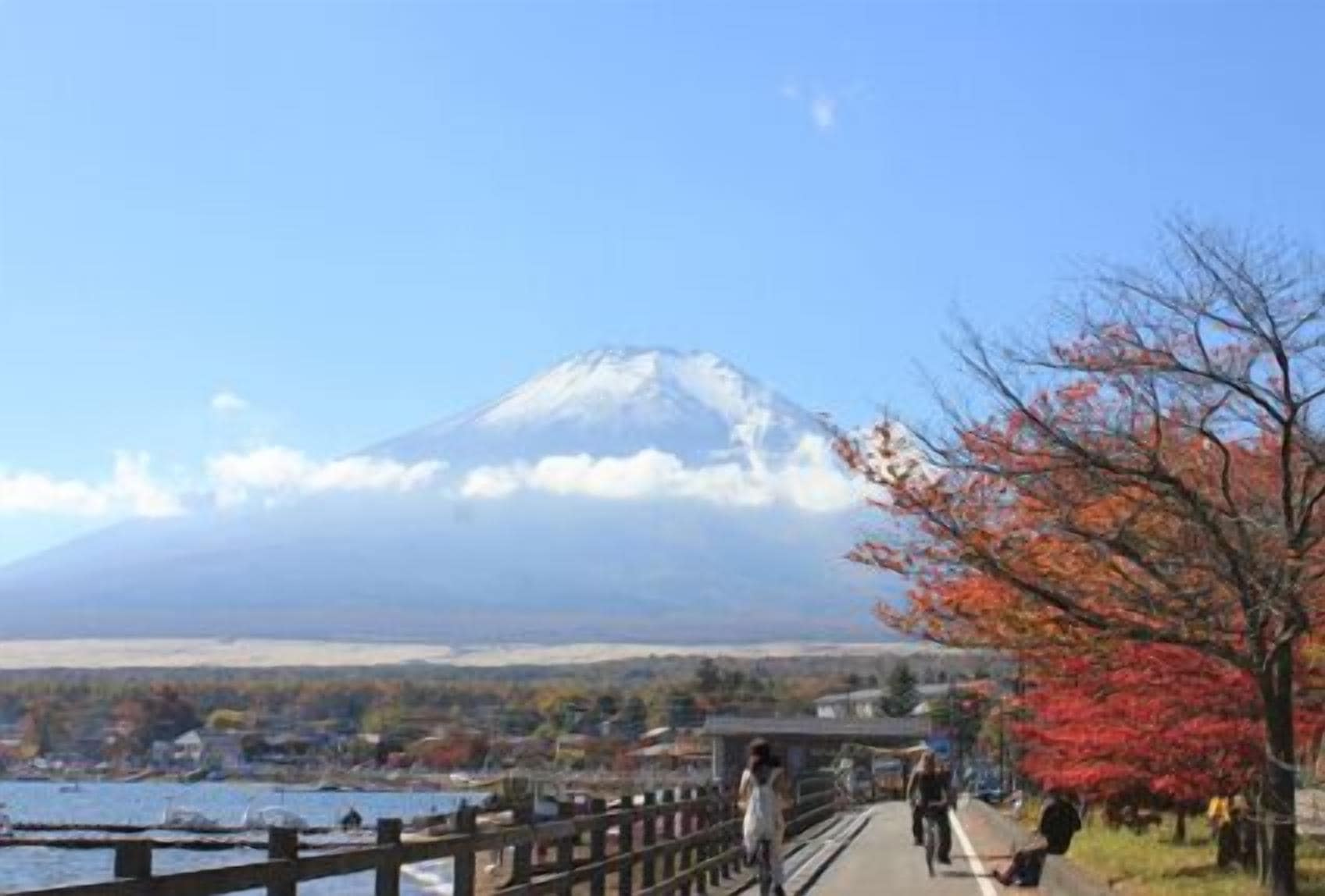 1 bedroom, desk, soundproofing, iron/ironing board