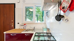 A modern kitchen with a gas stove, a sink, and a window with a view of greenery. - COTTAGE cozy and comfortable (Roma)