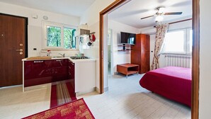 A compact room with a kitchenette, a bed, a TV, and a ceiling fan. - COTTAGE cozy and comfortable (Roma)