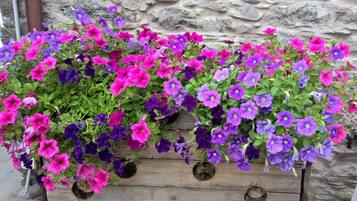 A wooden planter box filled with vibrant purple and pink flowers against a stone wall.