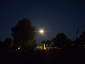 Escena nocturna con una luna brillante, estrellas, un árbol y edificios a lo lejos.