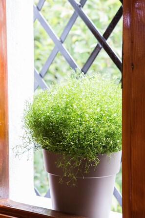 Standard Studio - Saint John Villa Apartments (Kassandra)