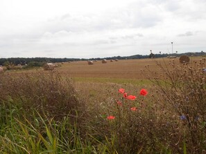 Imagen sin descripción, 3 de 31, botón