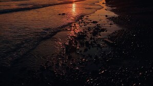 A sunset over a beach with waves and a silhouette of trees.