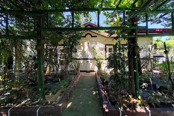 花园景观