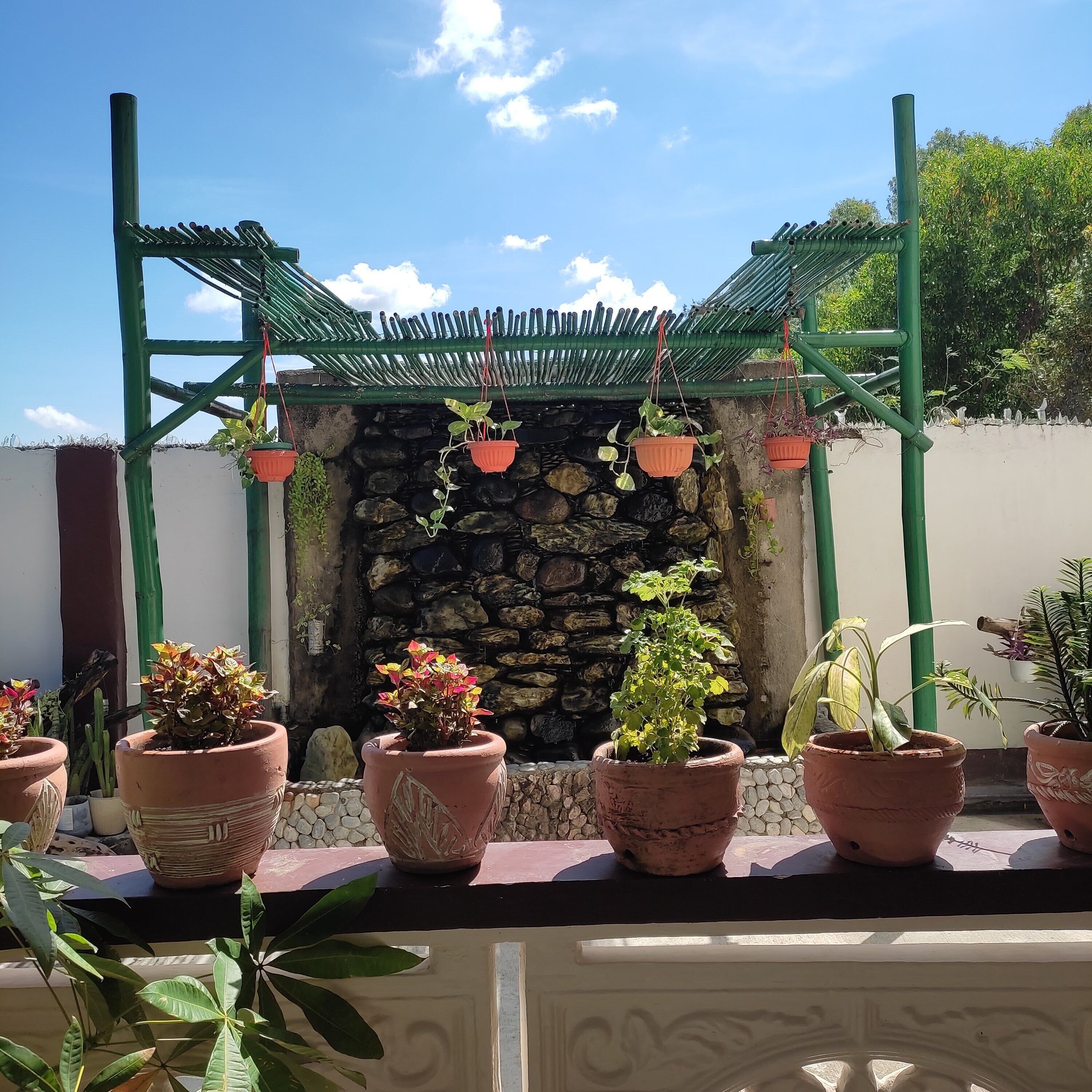 Un espace jardin agrémenté d’un muret en pierre, de plantes en pot et d’une pergola en bois recouverte de végétation.