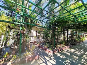 Garden view