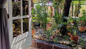 An open door to a garden with potted plants and a tree with pink flowers.