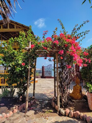 Garden - Olana Bed and Breakfast (Labrador)