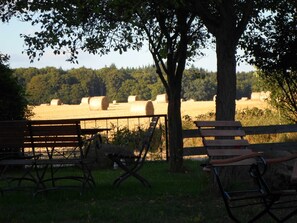 Property grounds - Apartment Kranich - Landhaus am Kranichfeld Feldberger Seenlandschaft (Feldberger Seenlandschaft)