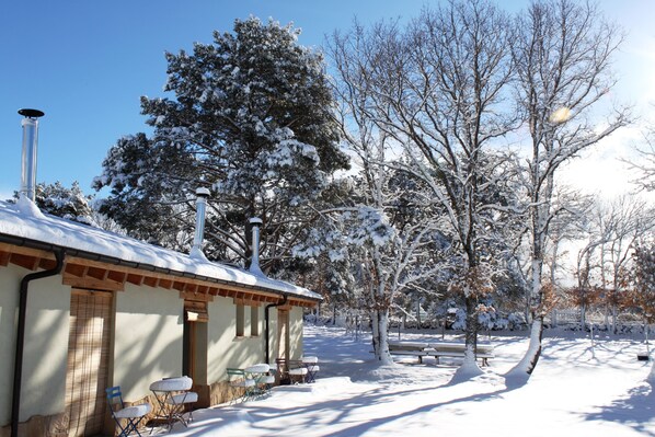 A snow-covered outdoor area with a building, benches, and trees.