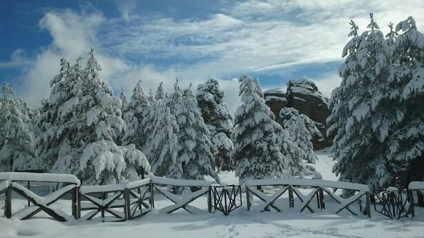 A snow-covered landscape with a wooden fence and snow-laden trees.