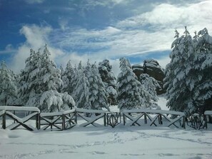 Een besneeuwd landschap met een houten omheining en sneeuwbedekte bomen.