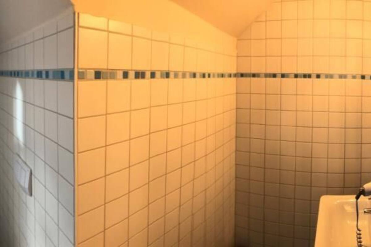 hair dryer, toilet paper