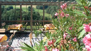 Un espace extérieur abrité, doté de chaises et de tables en bois, d’une pergola et offrant une vue sur une colline boisée.