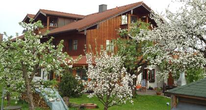 Ferienwohnung Wingen, 45qm, 1 sep. Schlafzimmer, Süd- und Ostbalkon im Ortsteil Wiechs