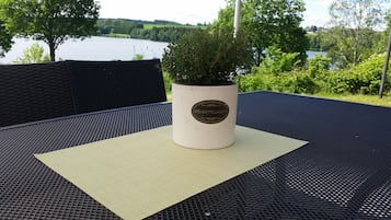 Une plante en pot, placée sur une table, avec vue sur un lac et des arbres.