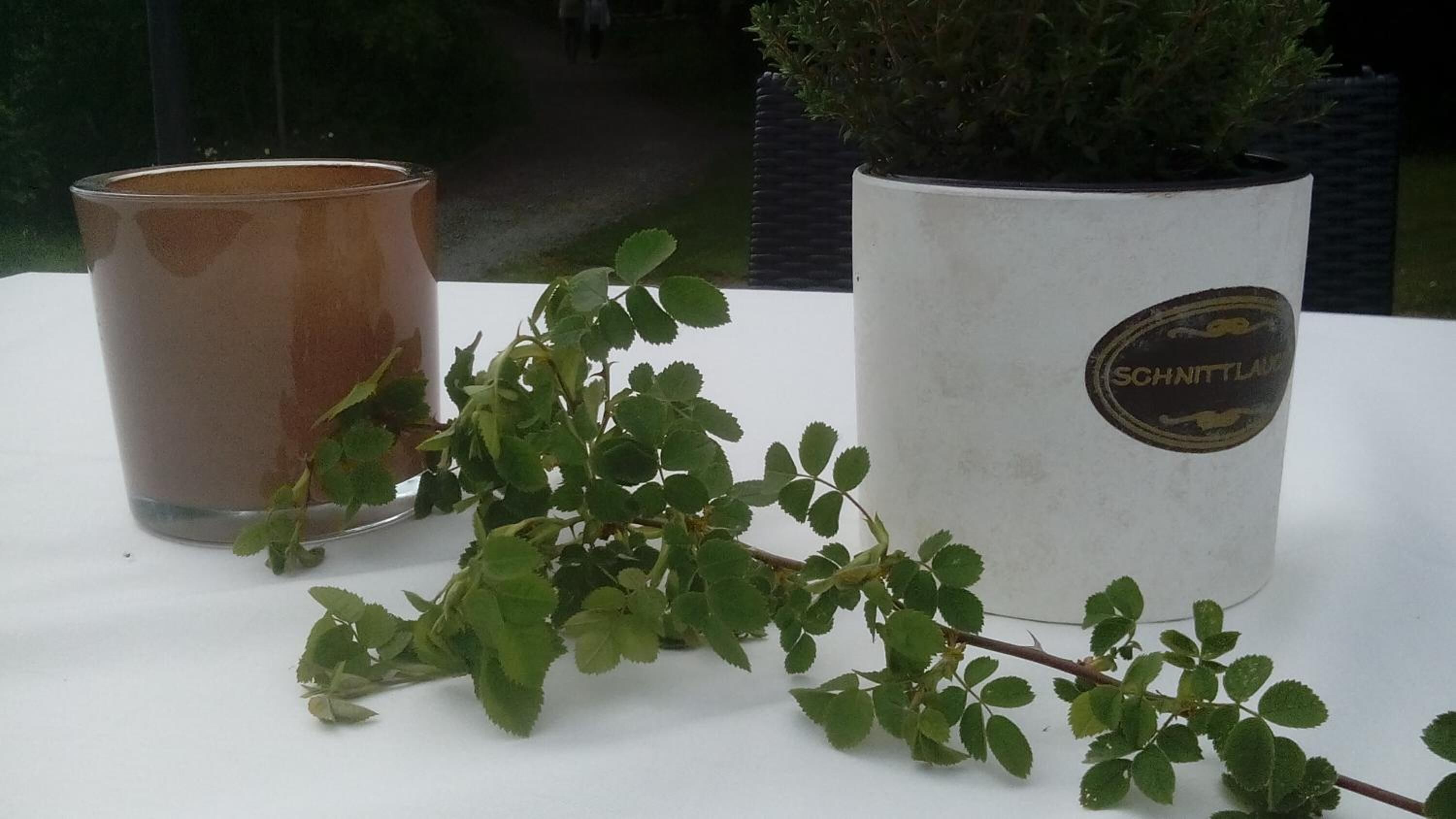 mediterranean cuisine