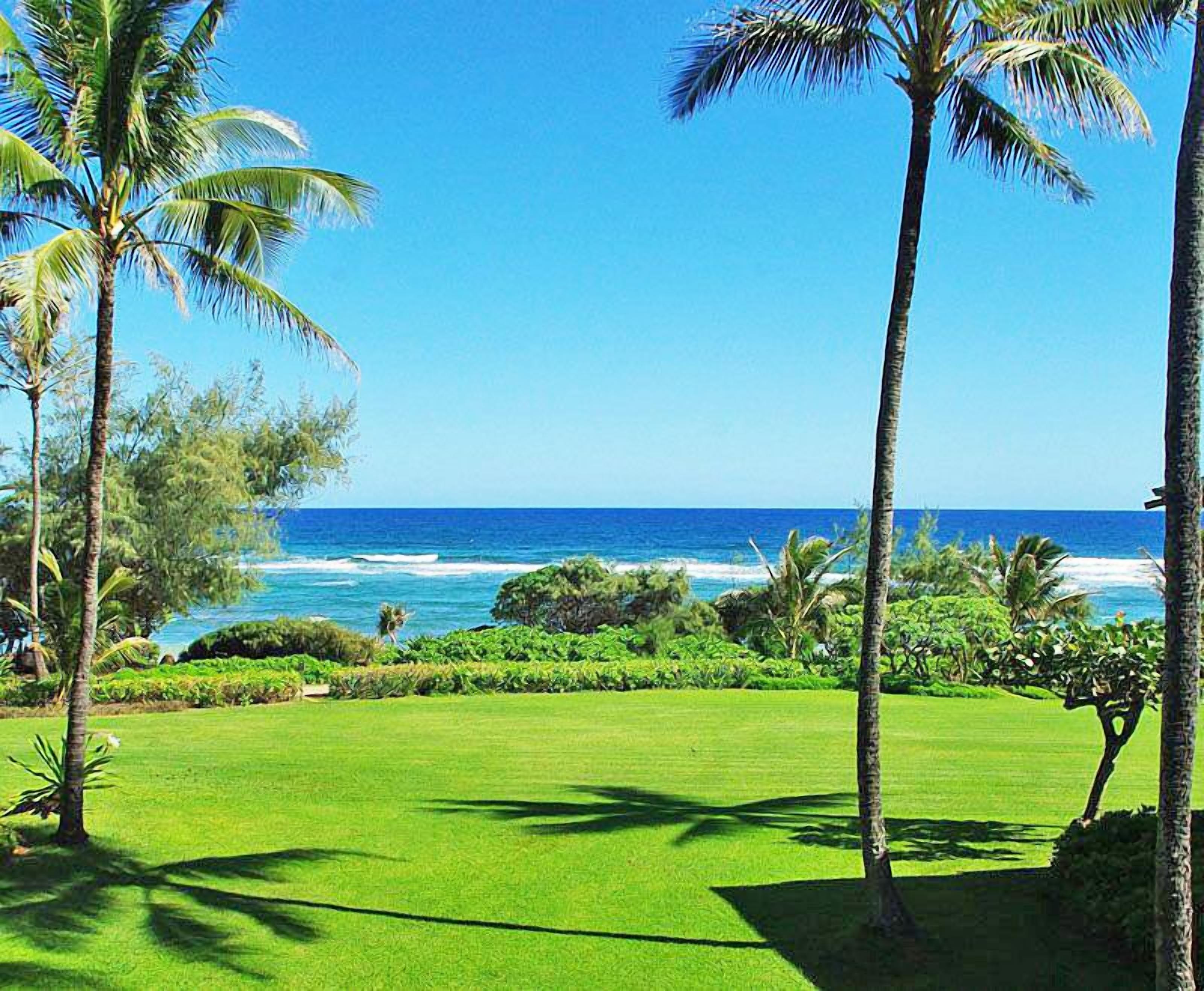 Een weelderig groen gazon met palmbomen en uitzicht op zee.