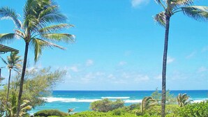 Escena de playa tropical con palmeras y vistas al océano.