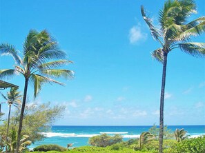 On the beach, sun loungers, beach towels
