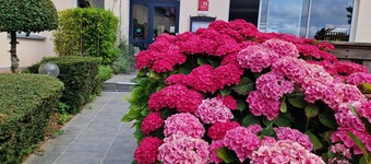 Hotel Bal