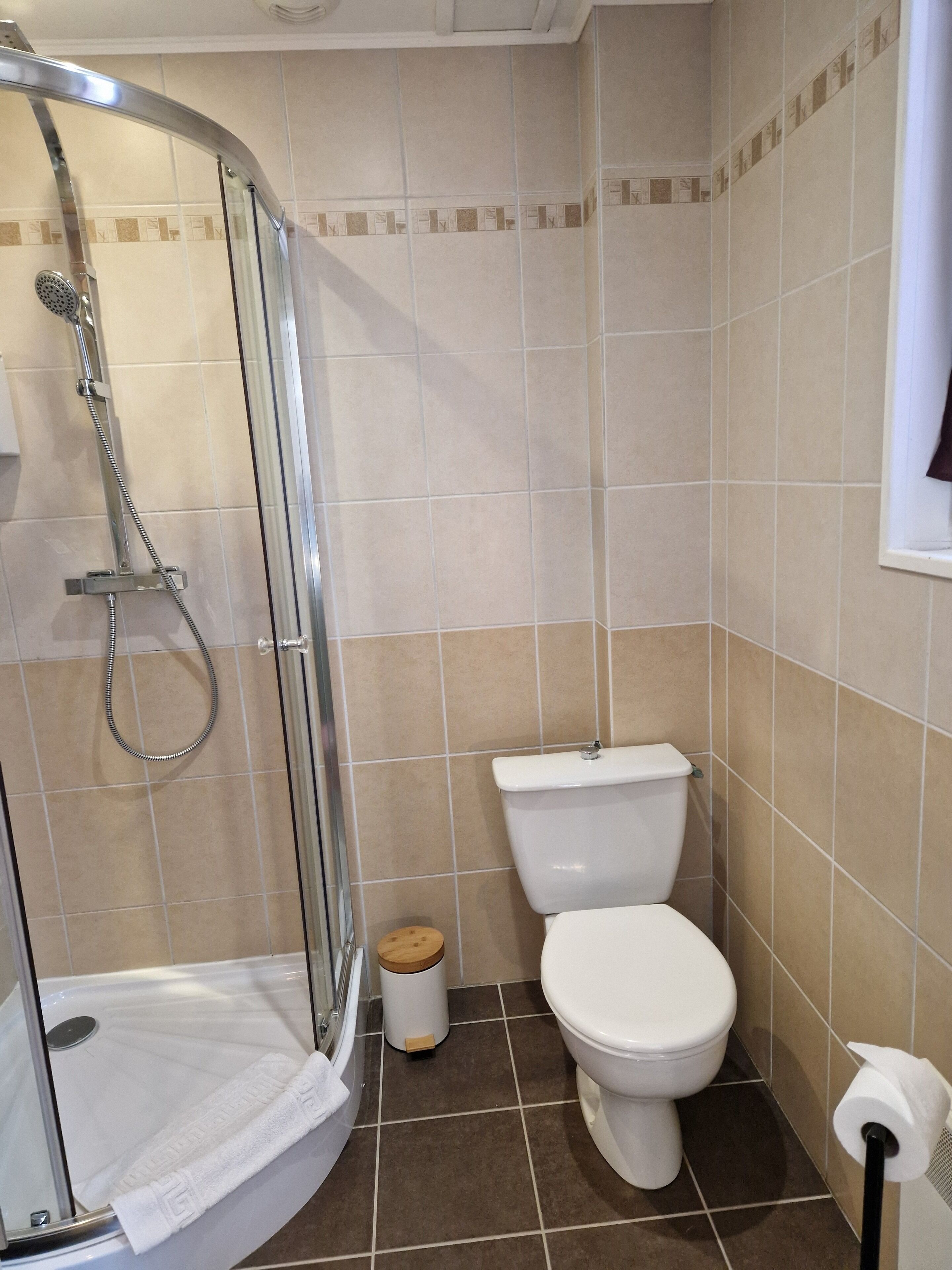 A bathroom with a glass-enclosed shower, a toilet, and a trash bin.