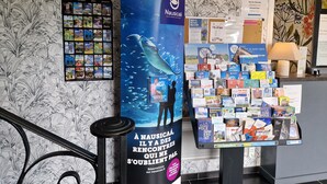 Un hall d’accueil d’hôtel avec un mur décoré d’un motif de feuilles tropicales, une grande affiche représentant une baleine, et un présentoir contenant divers livres et brochures.