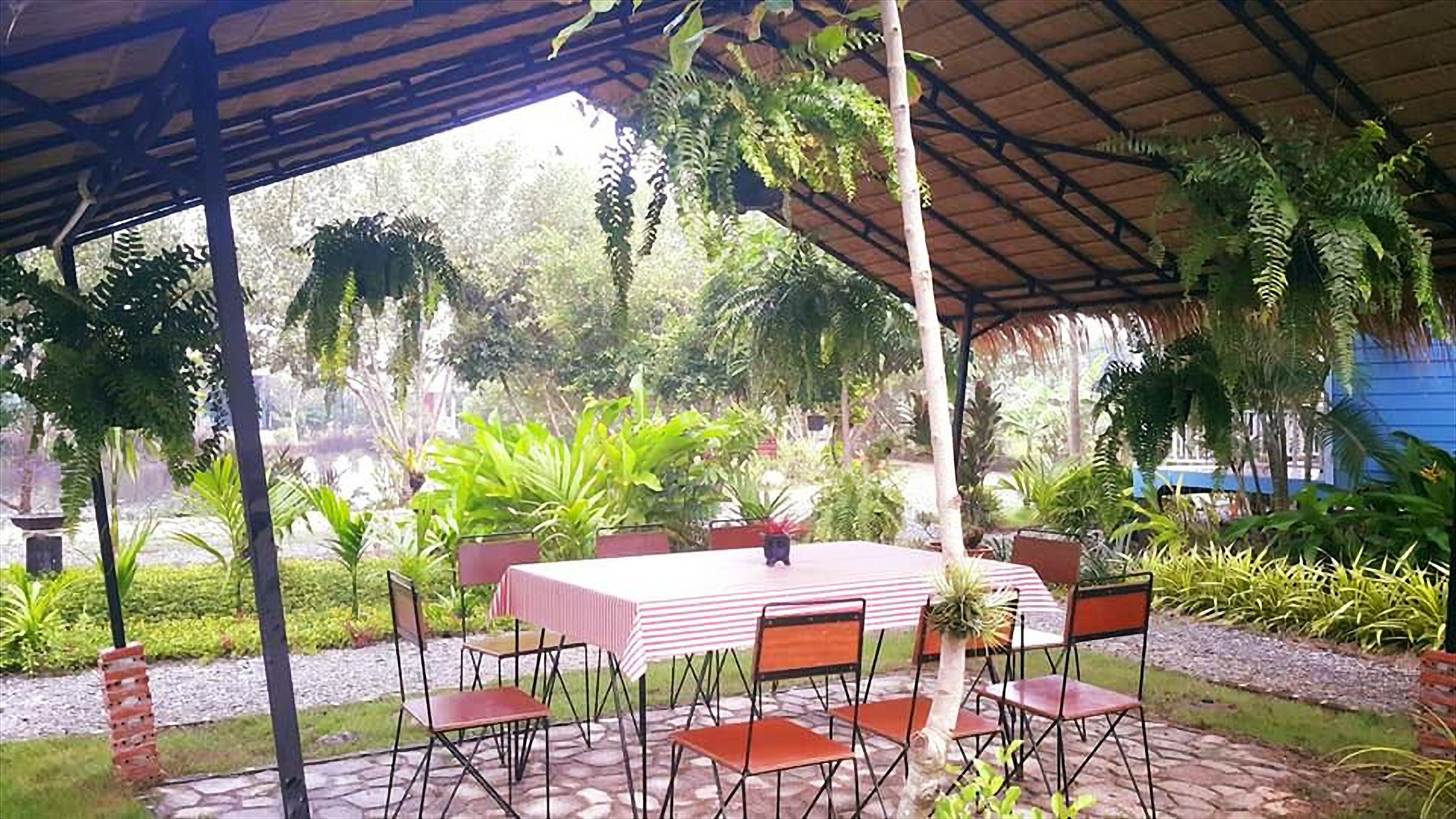 Patio esterno con tettoia, tavolo e sedie, circondato da piante.