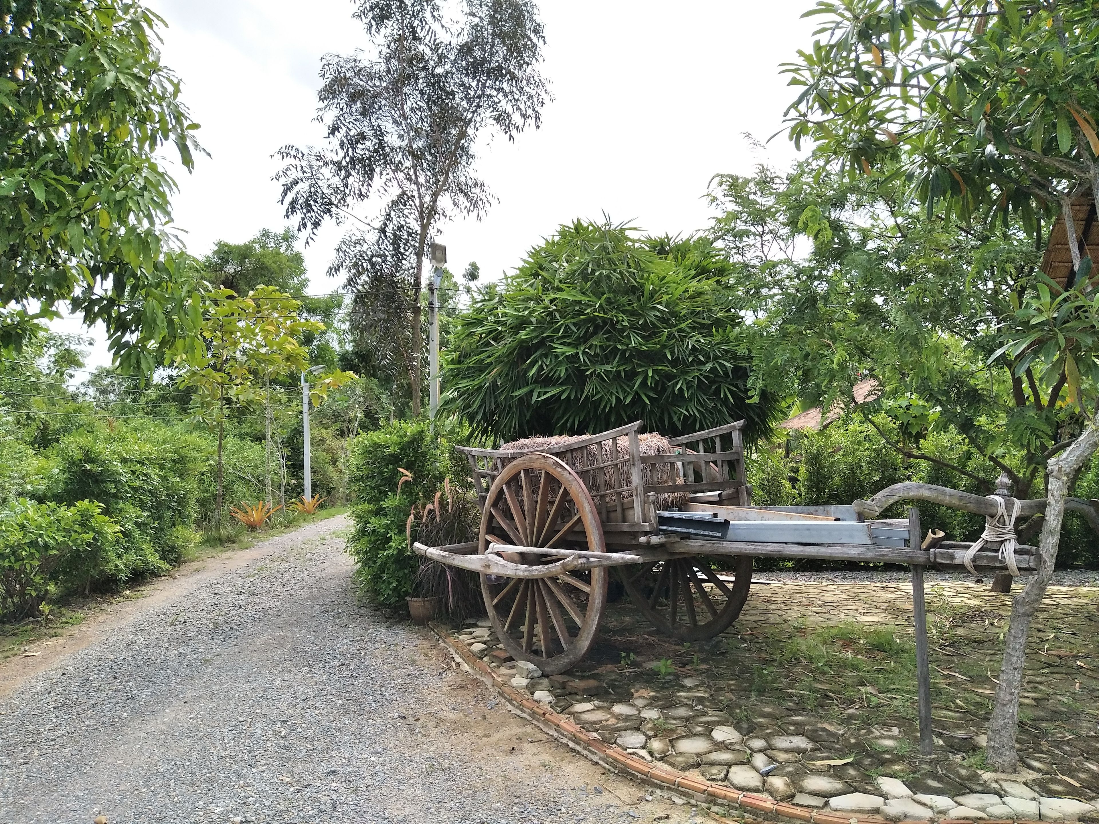 A rustic wooden cart loaded with hay, parked on a gravel path surrounded by lush greenery and trees.