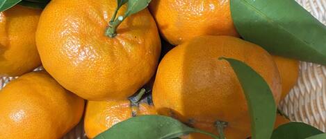 A basket filled with oranges and green leaves.