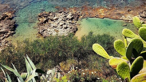 A coastal landscape with clear blue waters, rocky outcrops, and sparse vegetation. - Cinquestelle-albergo del centro storico (Centola)