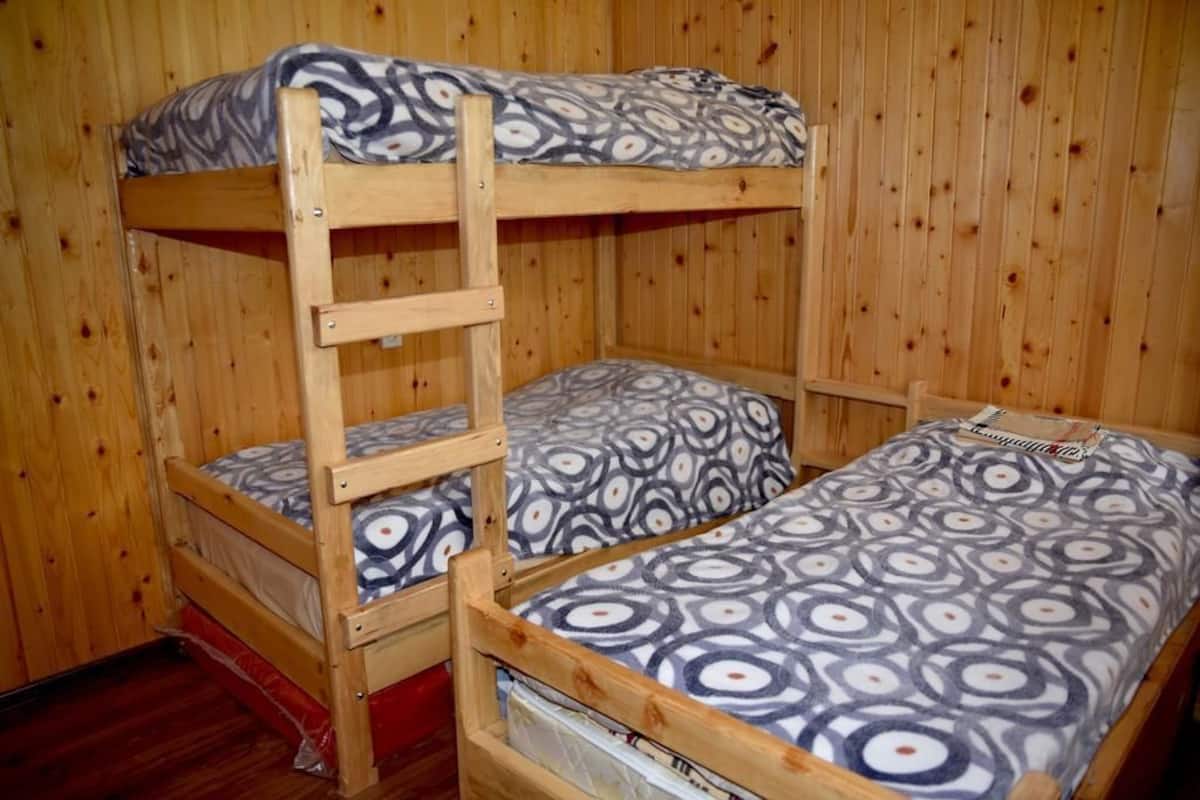 A bunk bed with a ladder, patterned bedding, and wooden walls.