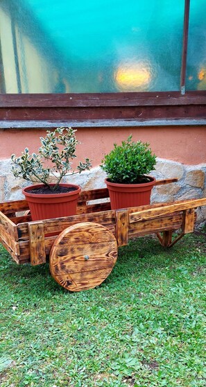 Property grounds - B&B Monticelli (Capranica)