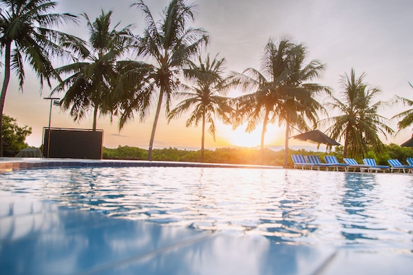 Outdoor pool, sun loungers