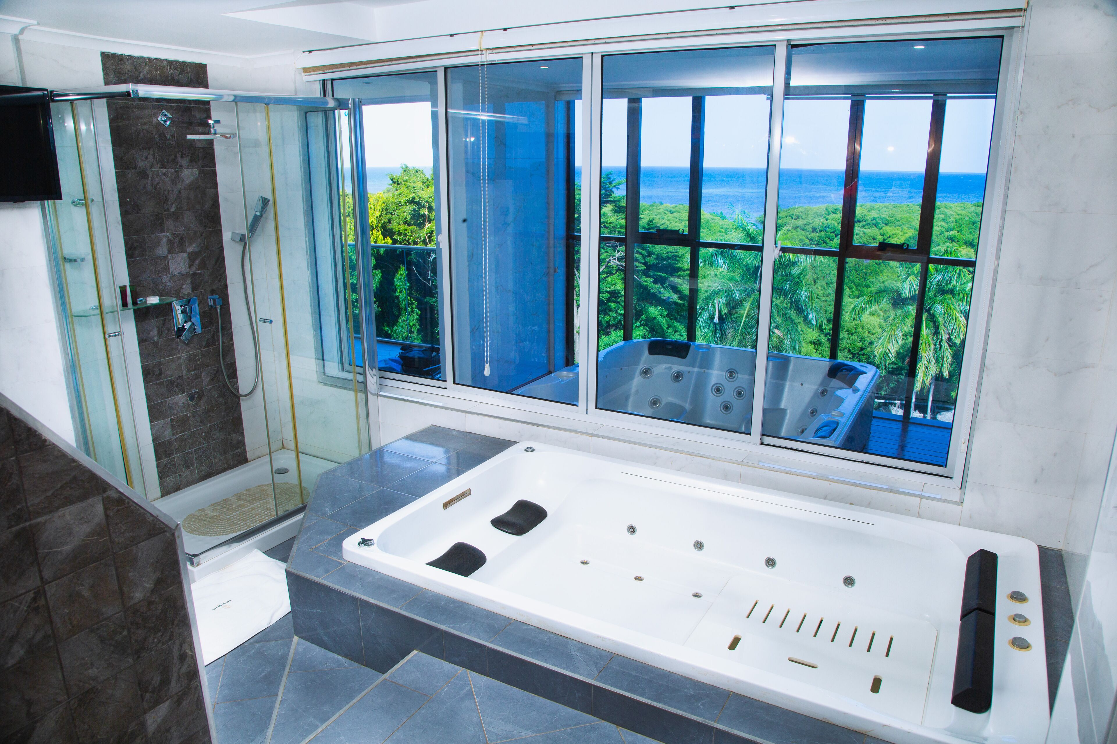 Presidential Room | Bathroom | Shower, free toiletries, hair dryer, towels