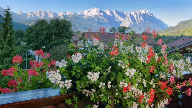 A balcony with a view of snow-capped mountains and a garden with red and white flowers. - Hotel Garni Zugspitz (Farchant)