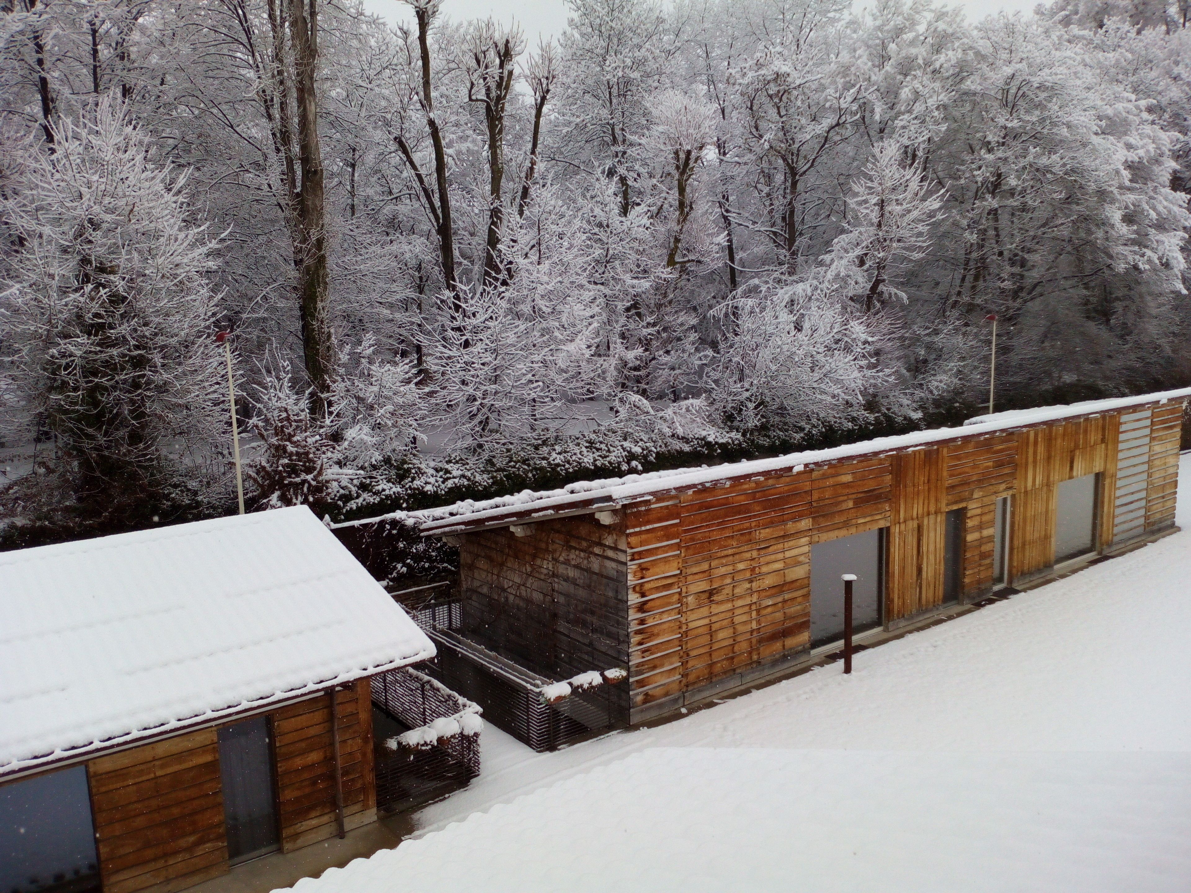雙人房 | 客房景觀
