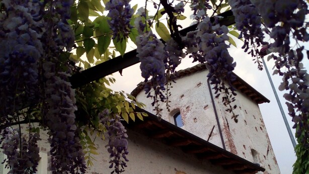 A building with multiple windows, some with shutters, and a mural on one wall. - Casa Torre Allera (Cuneo)