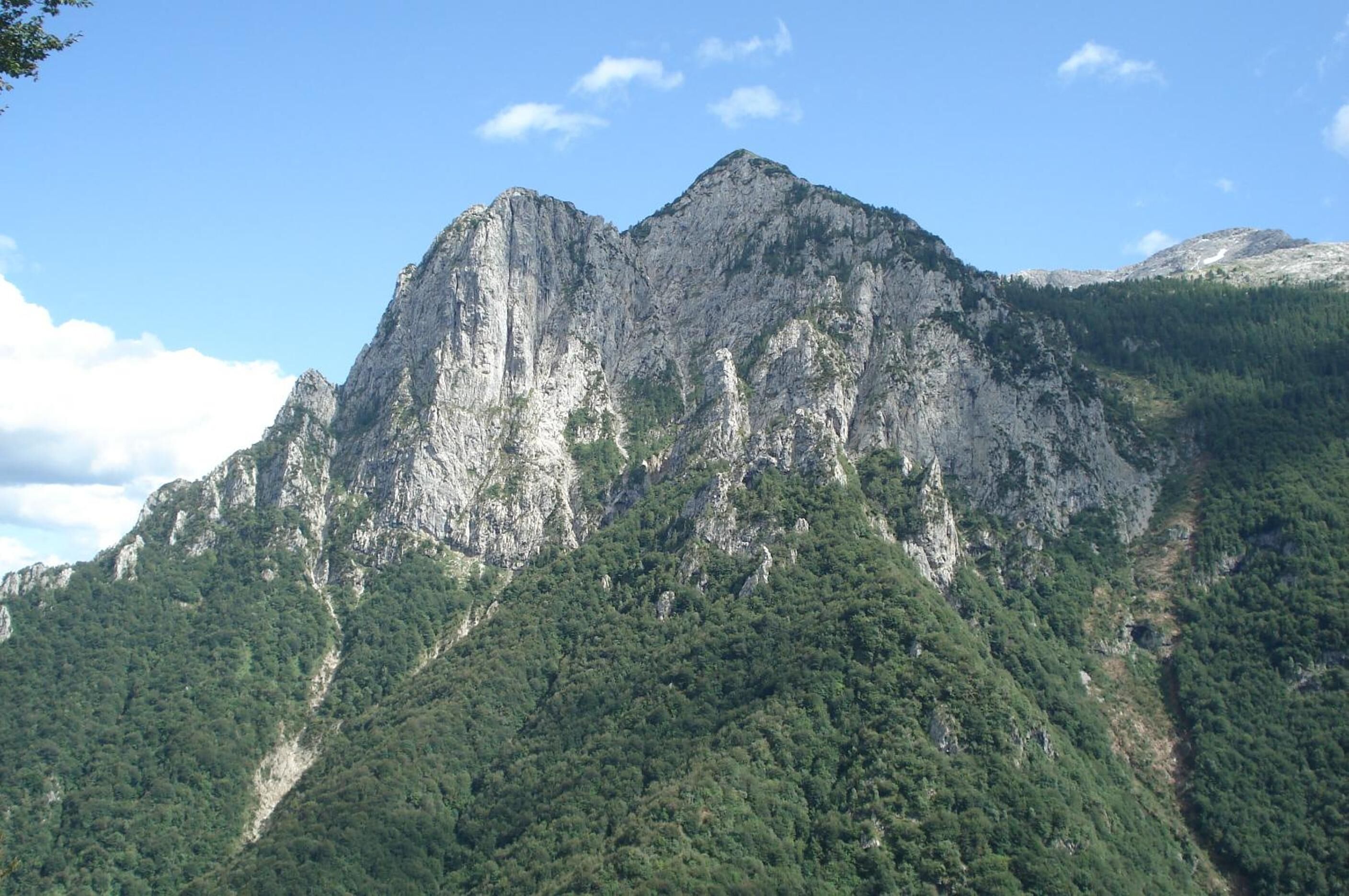 A mountainous landscape with a prominent rocky peak and dense forested slopes.