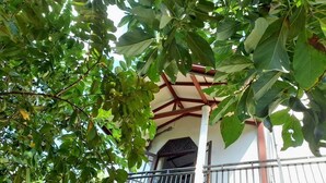 Un immeuble doté d’un balcon et d’une entrée abritée.