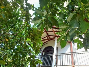 Exterior - DiNi Galle (Galle)