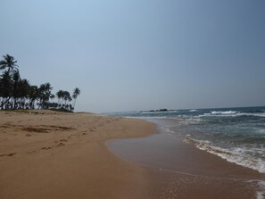 Une plage avec un rivage sablonneux, des palmiers et l’océan.