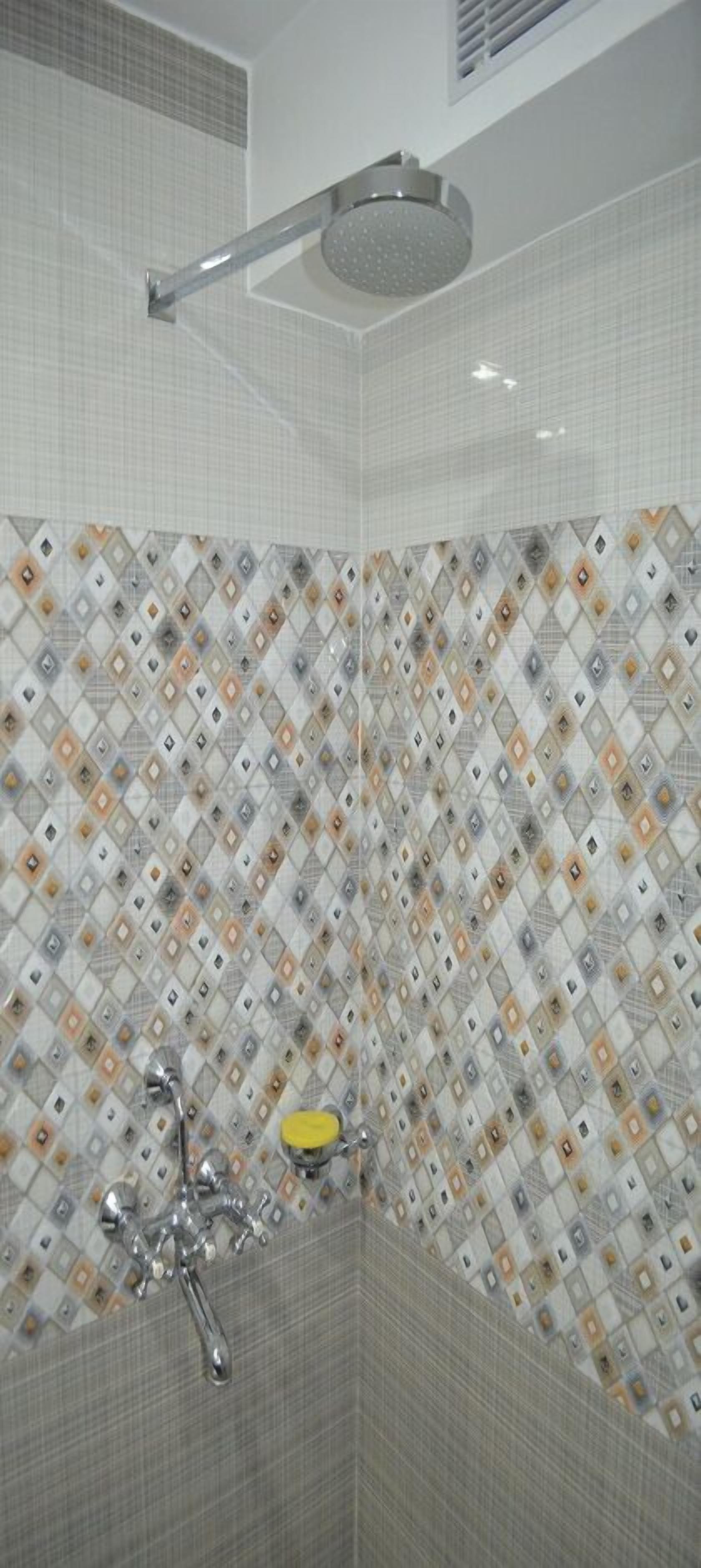 Deluxe Room | Bathroom | Shower