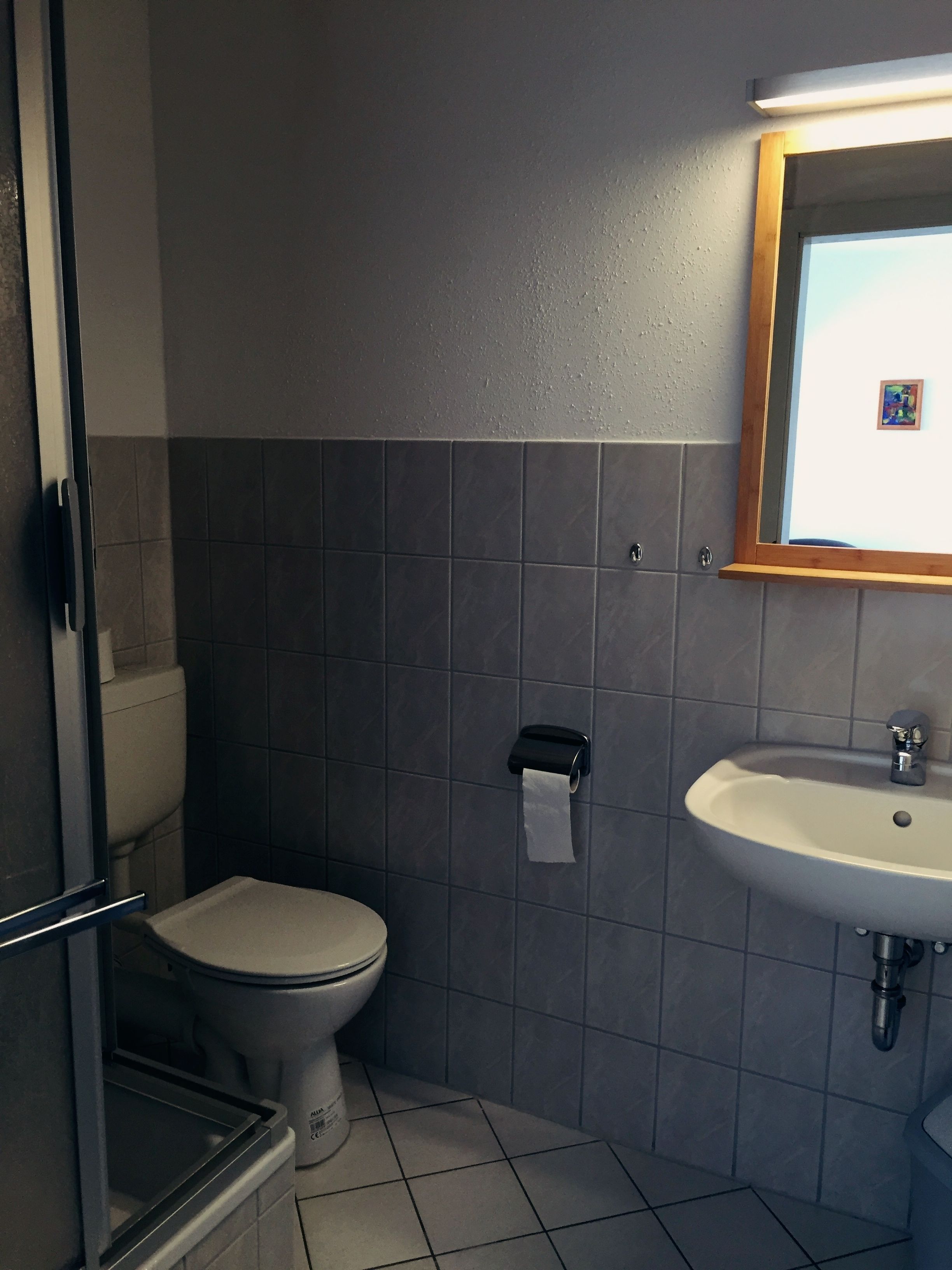 Ein Badezimmer mit Toilette, Waschbecken und Spiegel.