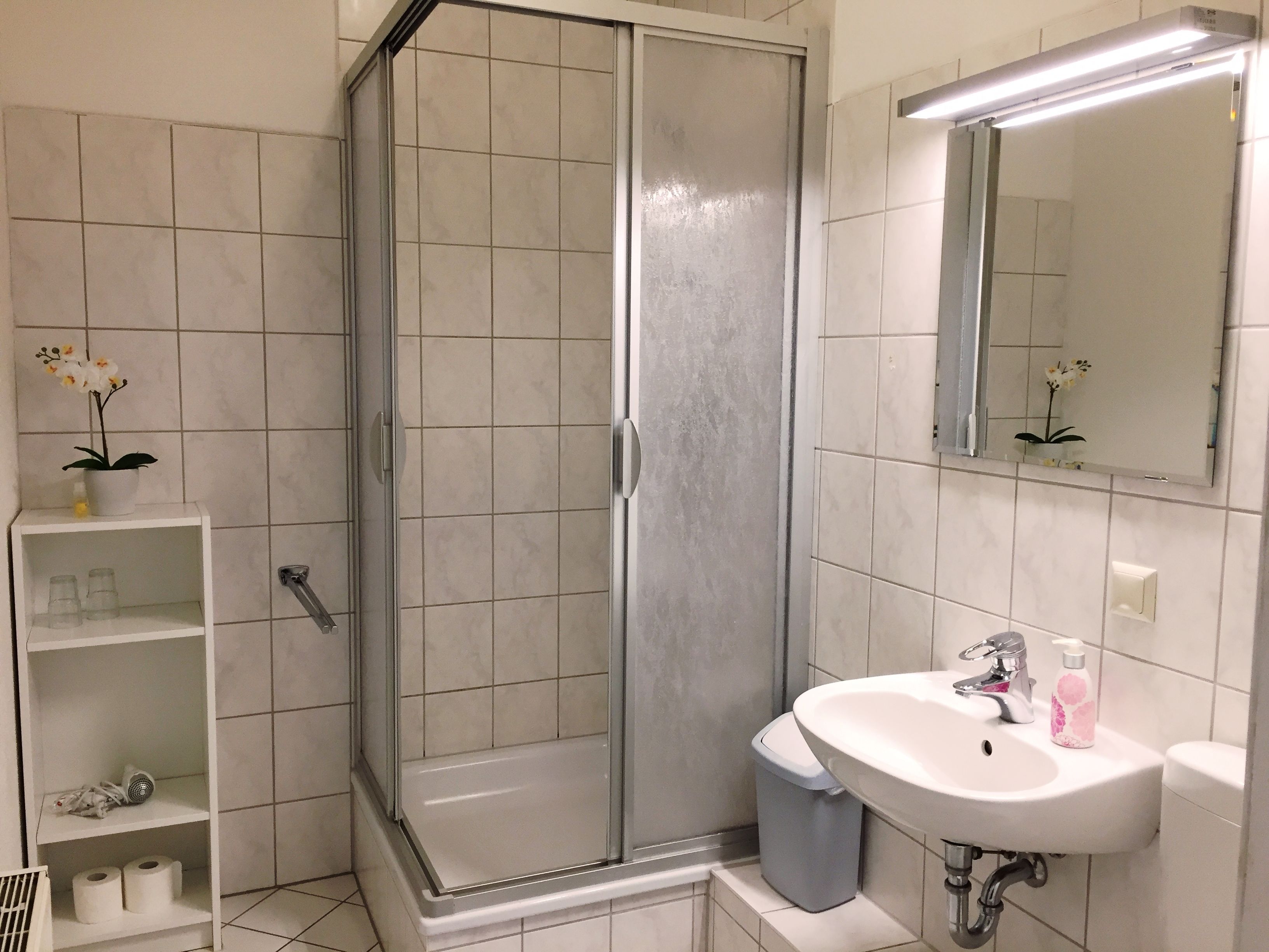 Un baño con ducha envuelta en vidrio, un lavabo con espejo y un estante con artículos de aseo.